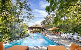 Bodhi Tree Yoga Resort